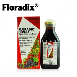Floradix Iron 铁元草本液体铁 250ml
