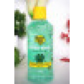 Banana Boat香蕉船 芦荟晒后修复凝胶250ml 啫喱 Banana Boat香蕉船 芦荟晒后修复凝胶250ml 啫喱